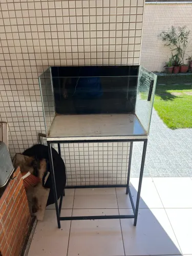 Aquário 
