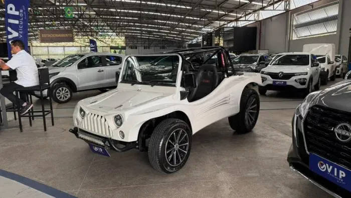 Fyber Buggy 2000w 1.8 8V/ 1.8 8V Flex 1991