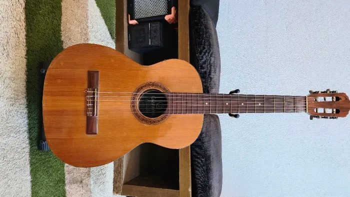Violão Giannini estudo