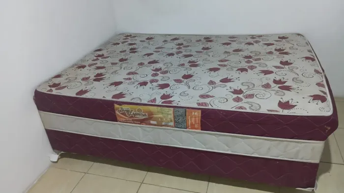 Cama