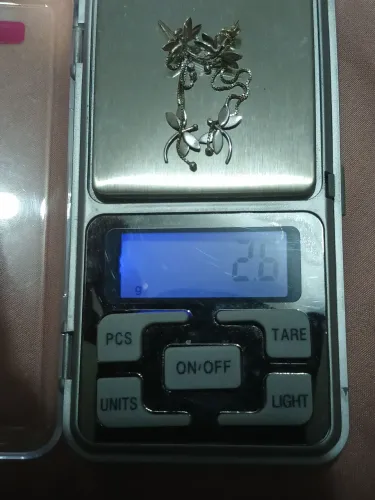 Par de brincos libélula em ouro branco 18k