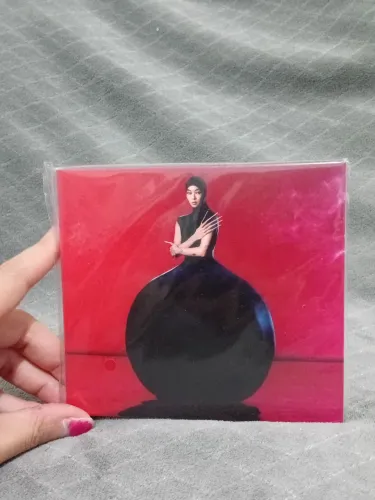 CD Rina Sawayama - Hold The Girl