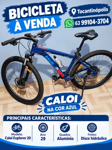 Bicicleta