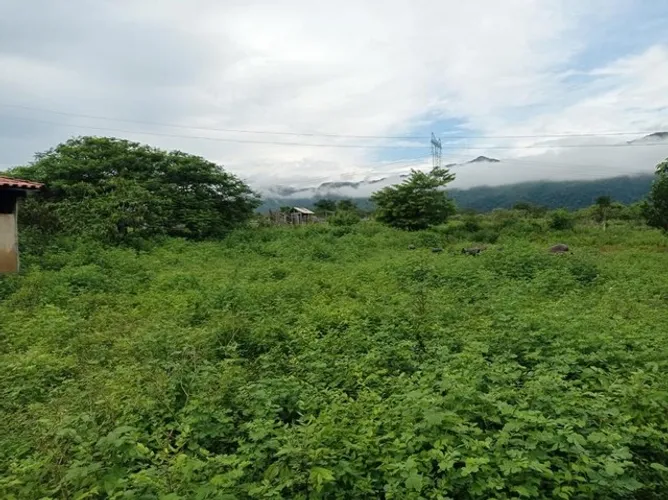 Fazenda de 959 alqueires em Cavalcante Go