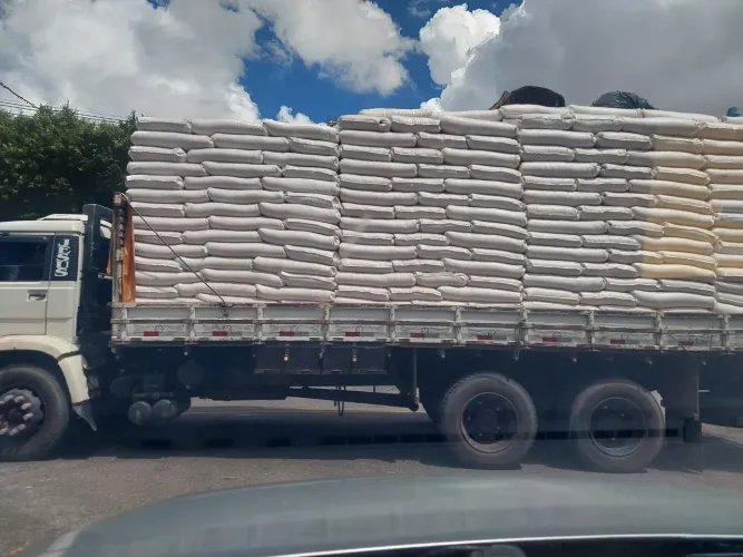 Farelo de trigo saca 30kg 