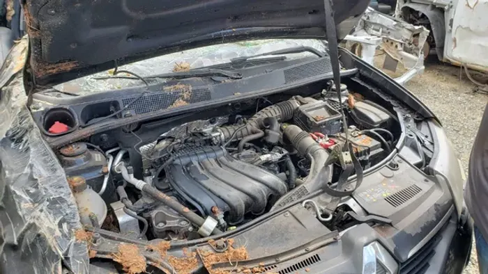 Motor Renault Sndero Stepway 1,6 16v 2018