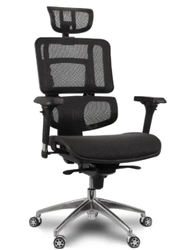 Cadeira Comfy Ergofy