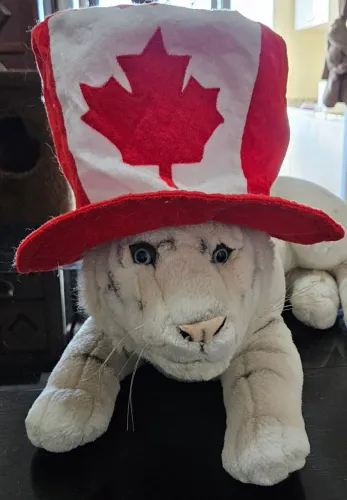 Chapéu do Canadá importado/ fantasia - copa do mundo