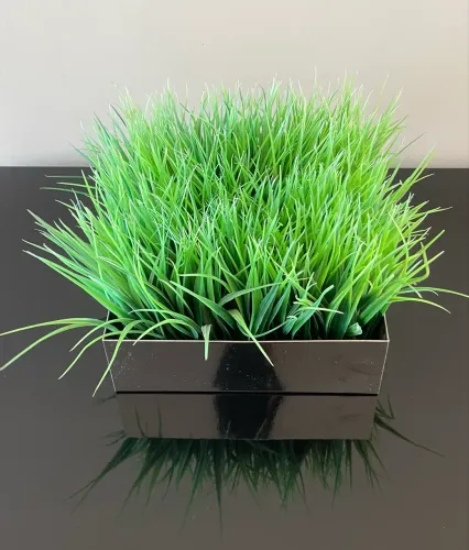 Vendo vaso com bandeja de inox já com as graminha artificiais