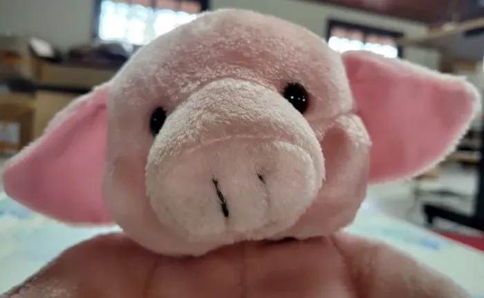 Porquinho De Pelúcia Coleção Vintage Mamíferos Parmalat 1996