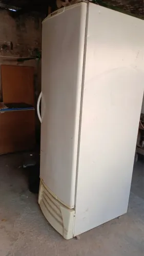 Freezer vestical