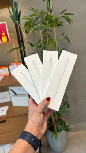 Apple Pencil Usb-C Lacrado | Loja Física | 1 Ano Garantia | Até 18x 