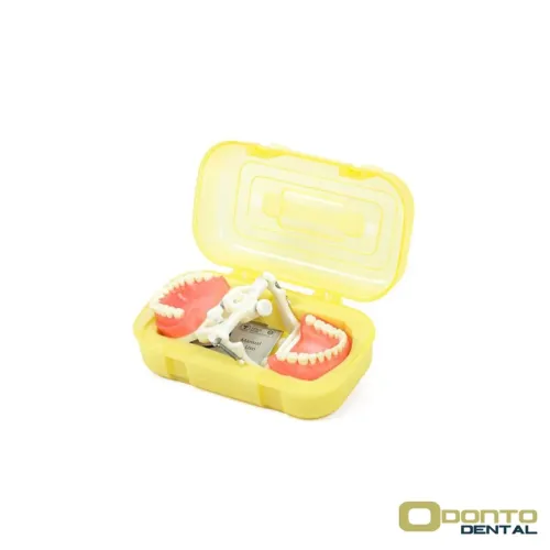 Manequim odontológico + dentes de reposição 