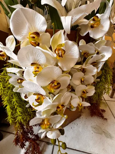 Flores para decoração 