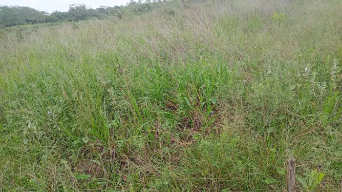 Vendo terreno urbano , aberto a negociação