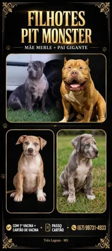 Cachorro tops monster