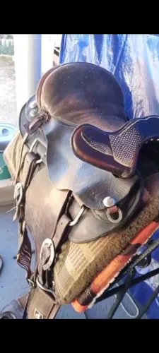 Sela para animais