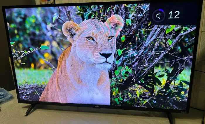 Vendo Smart Tv AOC 43 polegadas