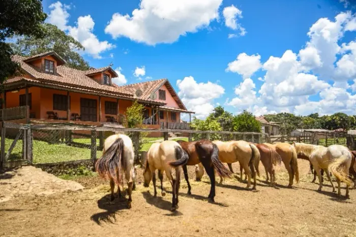 CHÁCARA COM ESTRUTURA EQUESTRE | 45 MINUTOS DE CURITIBA | 33.305m² | MANDIRITUBA