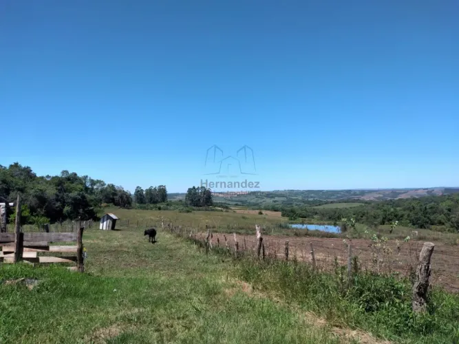 Sitio em Piratini - Casa-Galpão-Vinícola