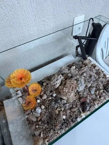 Aquário completo / fundo mar 