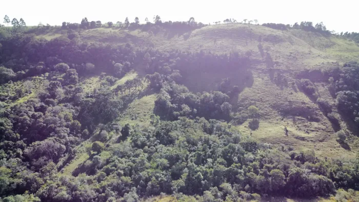 Vende sítio em excelente lugar em são Jerônimo da serra
