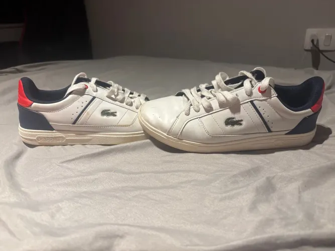 Tênis Lacoste masculino tamanho 38
