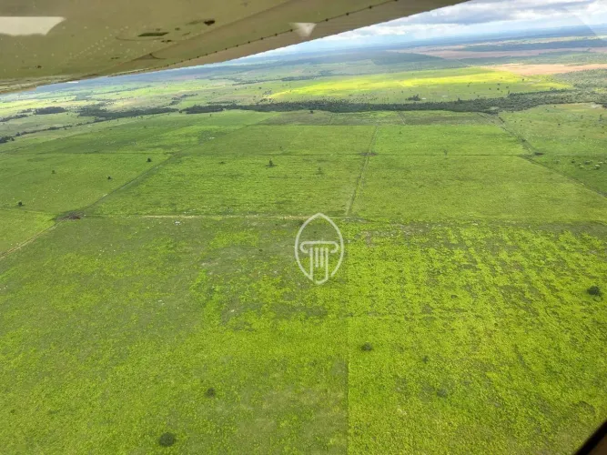 Fazenda à venda, 7116 hectares por R$ 230.000.000 - Santa Maria do Pará/PA