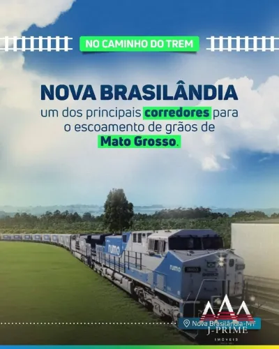 Fazenda 366 ha Dupla Aptidão Cerrado Rico