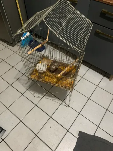 Gaiola para passarinhos