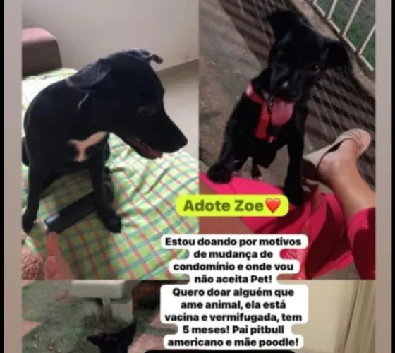 Doação 