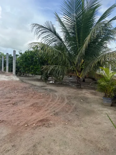 Sítio localizado no povoado mangue grande BOQUIM