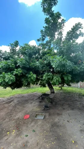 LINDO SITIO MATÃO