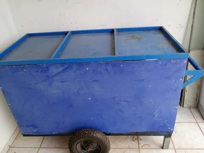 Carinho excelente para venda de frutas e verduras pra vender logo 500 reais