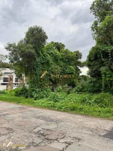 TERRENO NO BARREINHA! 595m² DE ÁREA TOTAL