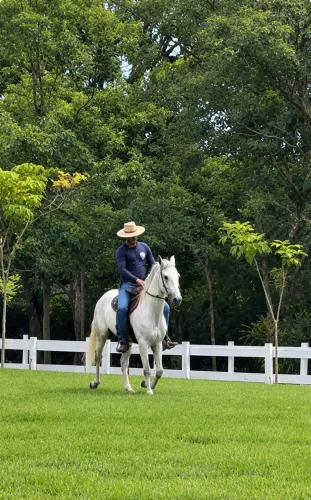 VENDO CAVALO MANGA LARGA MACHADOR