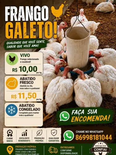 Frango - Galeto
