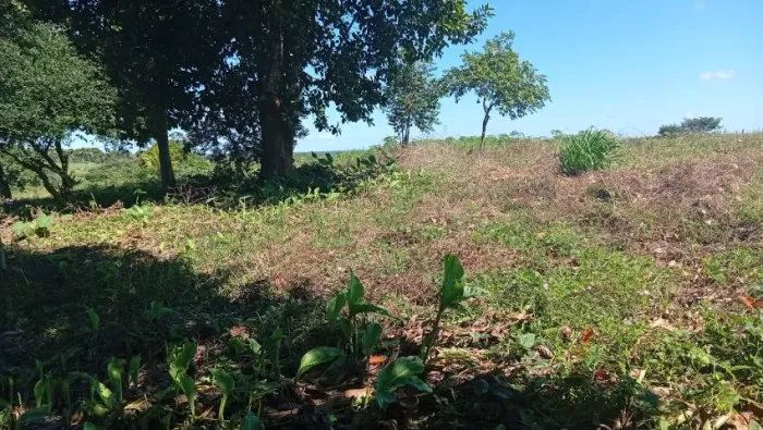 Vende um sítio de 6 tarefas com duas casa