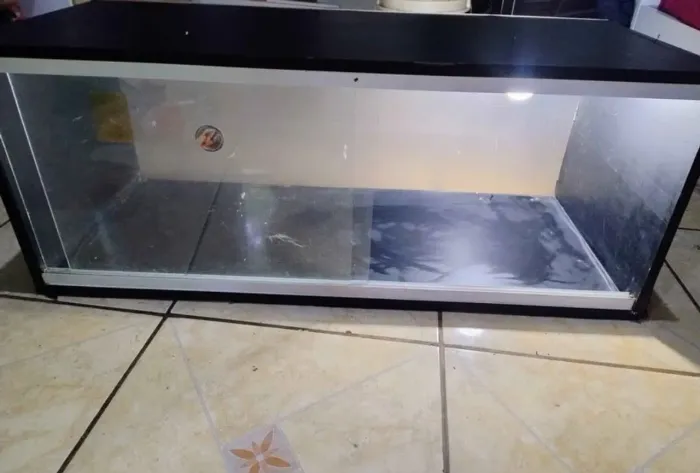 Terrário para répteis ( 1 metro) + grama sintética
