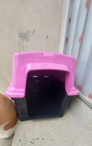 Casinha para Cachorro pequeno porte