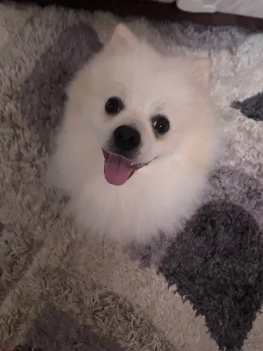 Em busca de um relacionamento 