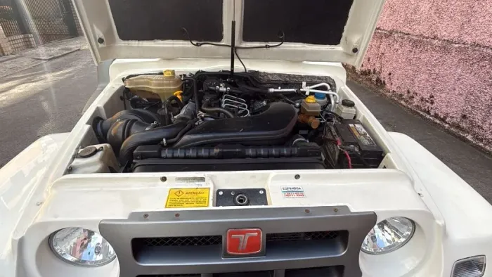 Troller T-4 4X4 3.0 TB Int. Cap. Rígida Diesel 2012