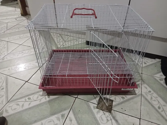 Gaiola para Coelho ou porquinho da Índia 