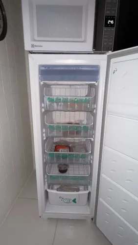 Freezer Consul