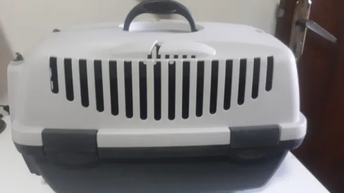 Caixa para transporte de Gatos
