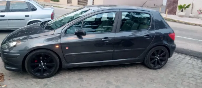 Peugeot 307 Soleil/ Presence 1.6/1.6 Flex 16V 5P 2010