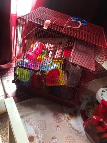 Vendo gaiola para hamsters