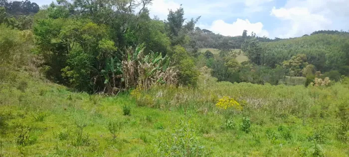 sitio 3 alqueires  com nascente em Joanópolis SP