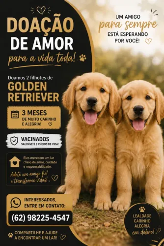 Doação de Golden *