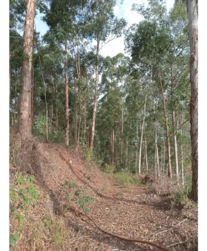 Terreno de 15 hectares com água em parcelas anuais em Itarana no E.S.